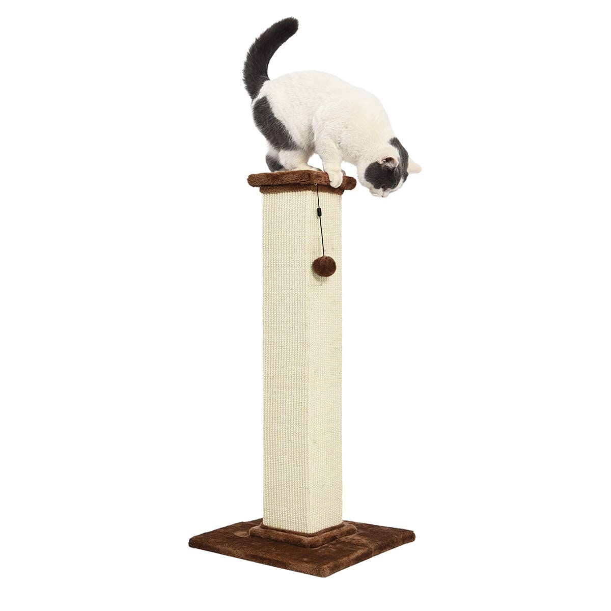 Amazon Basics Cat Scratching Post for Indoor Cats & Kittens, Medium (31.5"H), Cat Furniture with Dangling Ball Toy, Grey