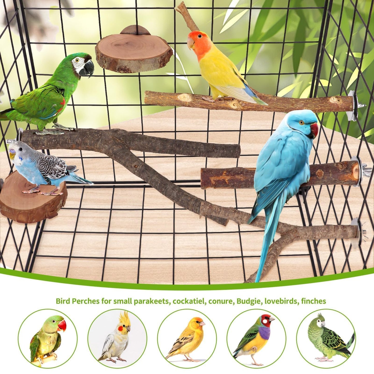 8 PCS Bird Perch Set for Cage - Natural Apple Wood Platforms & Hardwood Branches for Parakeets, Budgies, Cockatiels - Small Bird Habitat Gym, Climbing Stand & Safe Chew Toys