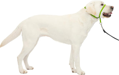 PetSafe Gentle Leader No Pull Dog Headcollar, Black, Medium | Veterinary Behaviorist-Designed No-Pull Headcollar Redirects Pulling Instinct, Padded Neoprene Nose Loop, Quick-Snap Fit