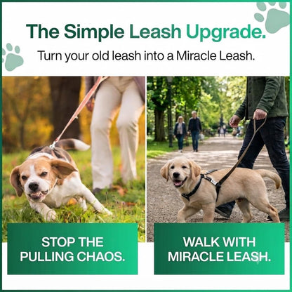 No‑Pull Dog Leash Attachment – Torso‑Loop Control for Large Dogs that Pull – Gentle Leader Alternative – Training Tool for Reactive & Lunging Dogs – Works with Any Collar