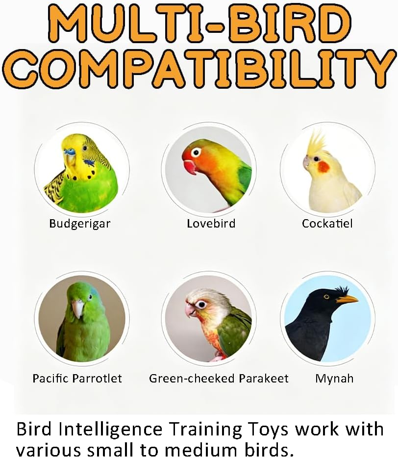 Bird Intelligence Training Toys, Balance Bike Accessories for Parrots, Parrot Puzzle Bicycle Table Top Prop, Educational Interactive Bird Exercising Foot Talon Toy, 2 Pieces, Orange