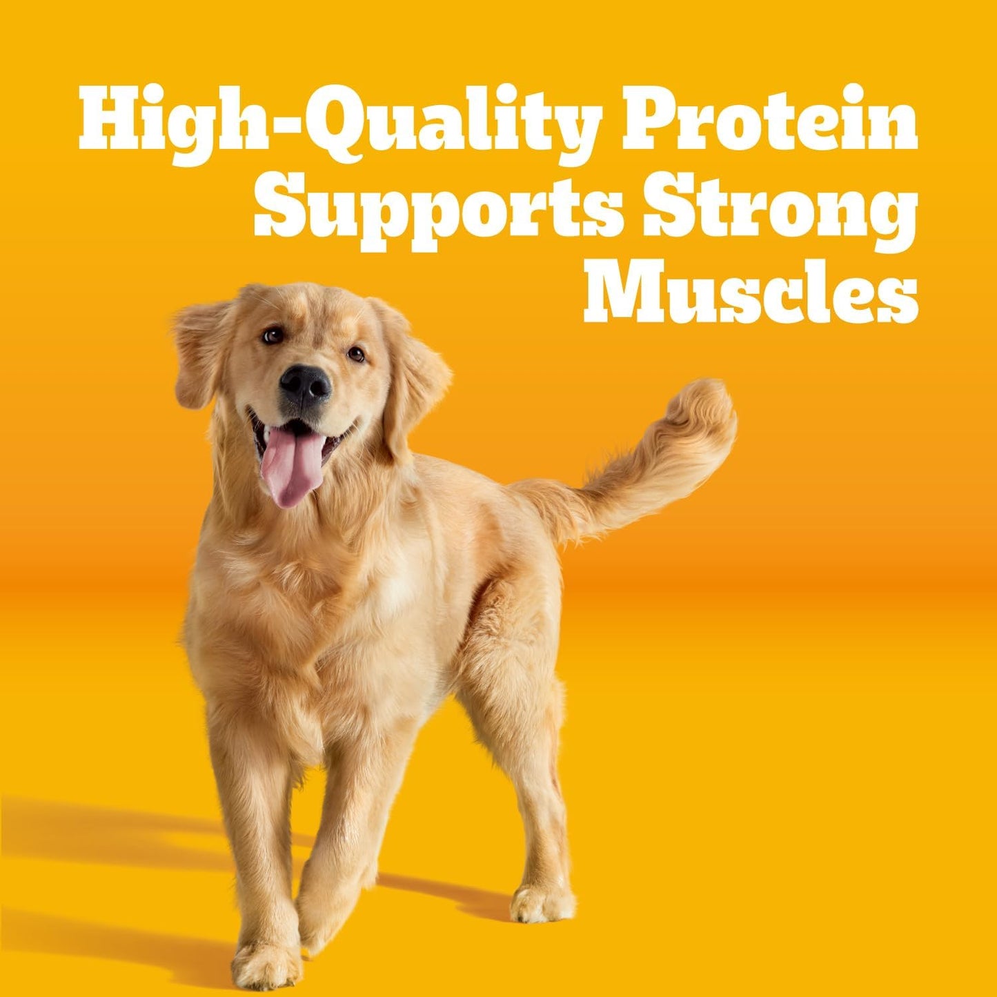 Pedigree Complete Nutrition Dry Dog Food, Steak & Vegetable, 18 lb