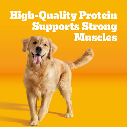 Pedigree Complete Nutrition Dry Dog Food, Steak & Vegetable, 18 lb