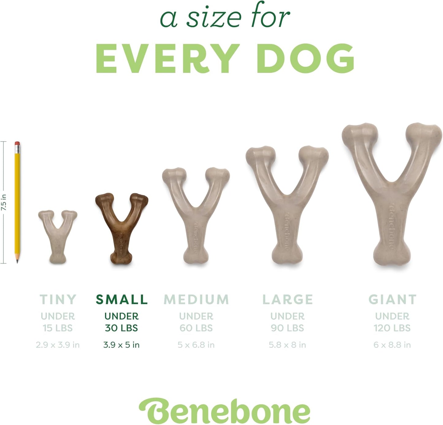 Benebone Wishbone Durable Dog Chew Toy for Aggressive Chewers, Real Bacon, Made in USA, Medium