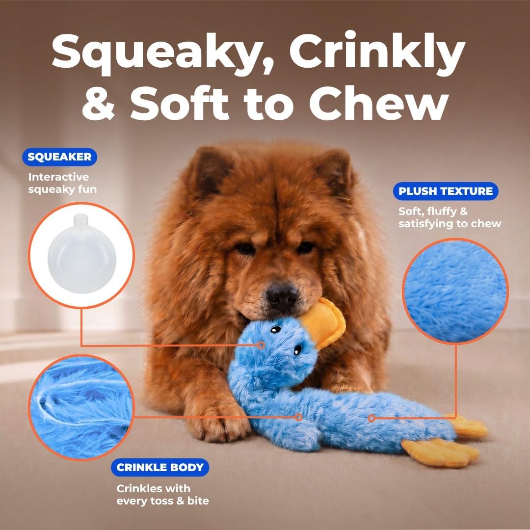 Best Pet Supplies Interactive Squeaky Dog Chew Toy, Ideal Dog Toys for Chewers, Small, Medium & Large Dogs, and Fetch Lovers - Crinkle Duck (Yellow), Large