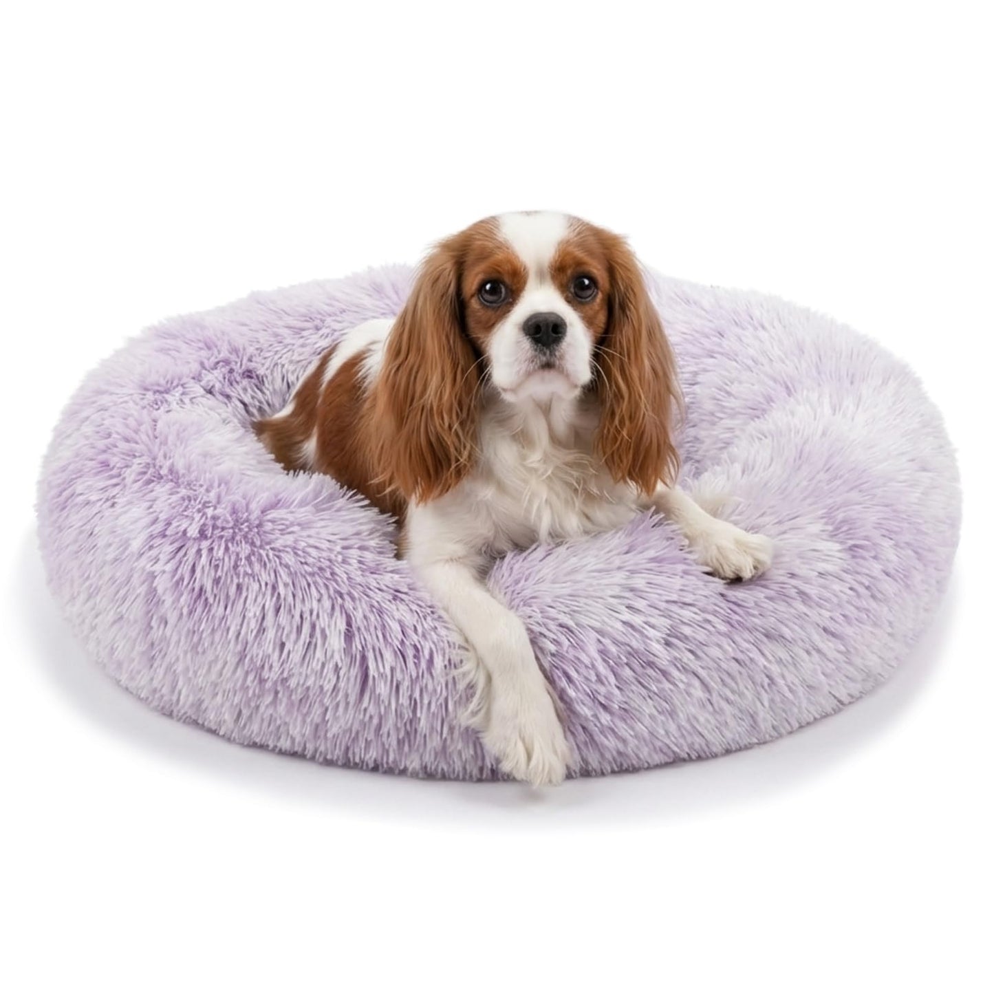 Small Calming Dogs Bed for Small Dogs Anti-Anxiety Machine Washable Fluffy Luxury Anti-Slip Waterproof Mute Base Warming Cozy Soft Pet Puppy Round Bed