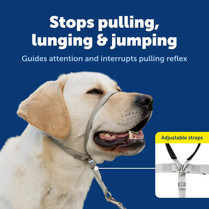 PetSafe Gentle Leader No Pull Dog Headcollar, Black, Medium | Veterinary Behaviorist-Designed No-Pull Headcollar Redirects Pulling Instinct, Padded Neoprene Nose Loop, Quick-Snap Fit