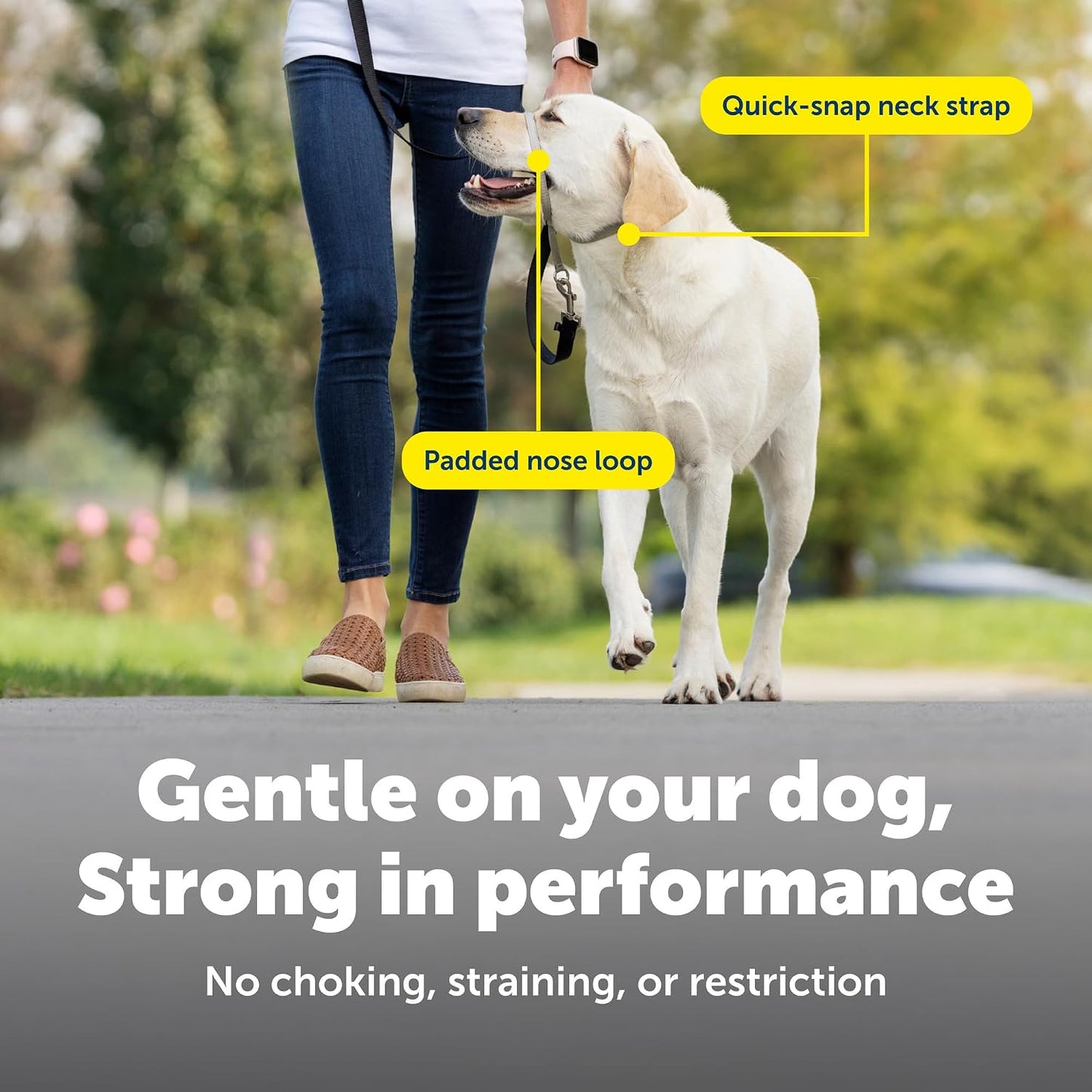 PetSafe Gentle Leader No Pull Dog Headcollar, Black, Medium | Veterinary Behaviorist-Designed No-Pull Headcollar Redirects Pulling Instinct, Padded Neoprene Nose Loop, Quick-Snap Fit