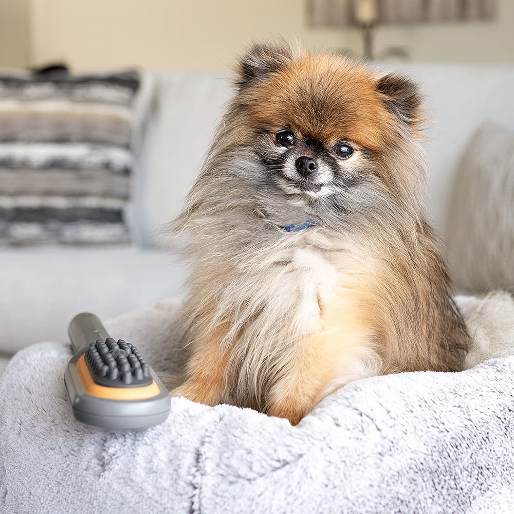 PAW WAVE Buzz Therapeutic Brush Vibration Pet Massager for Dogs and Cats Designed to Help Soothe Tension, Increase Circulation and Relieve Tight Muscles