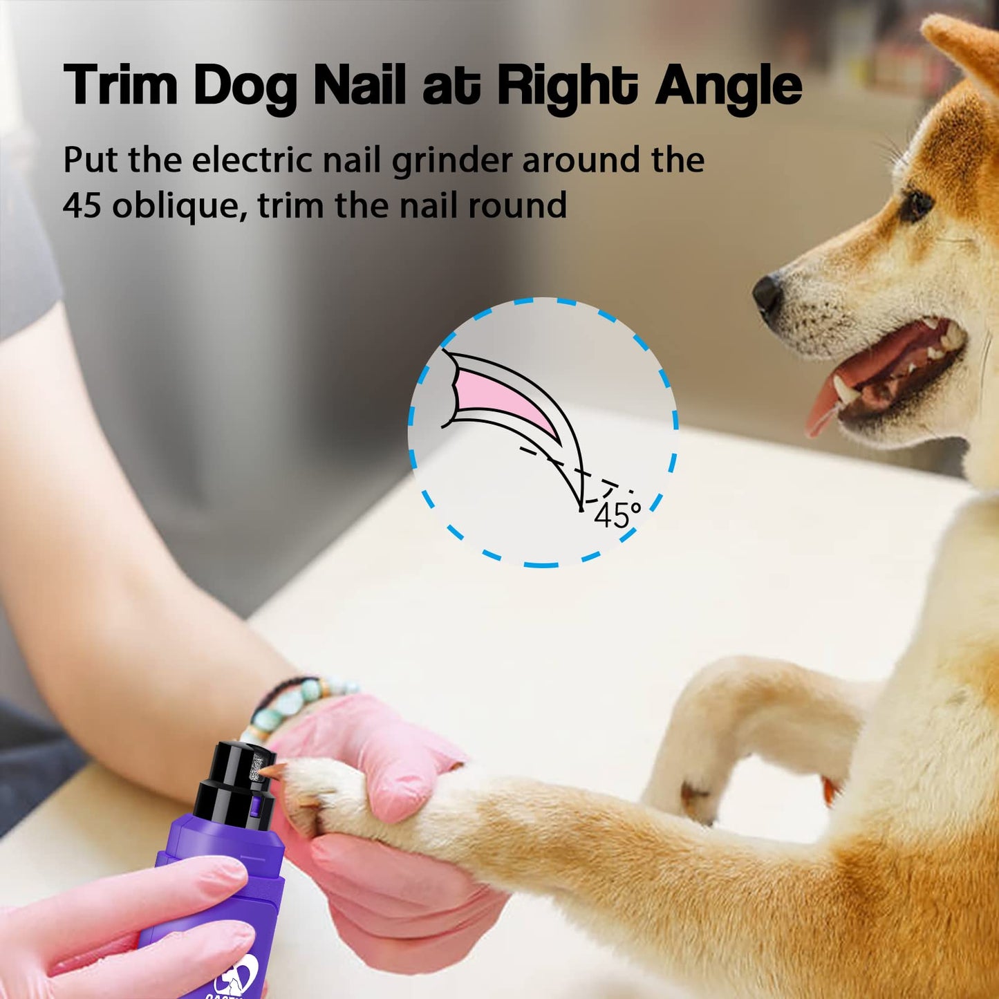 Casfuy Dog Nail Grinder Upgraded - Professional 2-Speed Whisper-Quiet Electric Pet Nail Trimmer Painless Paws Grooming & Smoothing for Small Medium Large Dogs & Cats (Dark Blue)