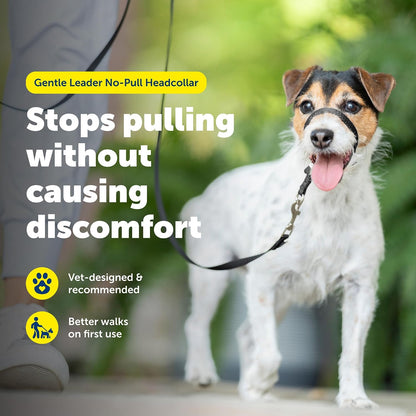 PetSafe Gentle Leader No Pull Dog Headcollar, Black, Medium | Veterinary Behaviorist-Designed No-Pull Headcollar Redirects Pulling Instinct, Padded Neoprene Nose Loop, Quick-Snap Fit