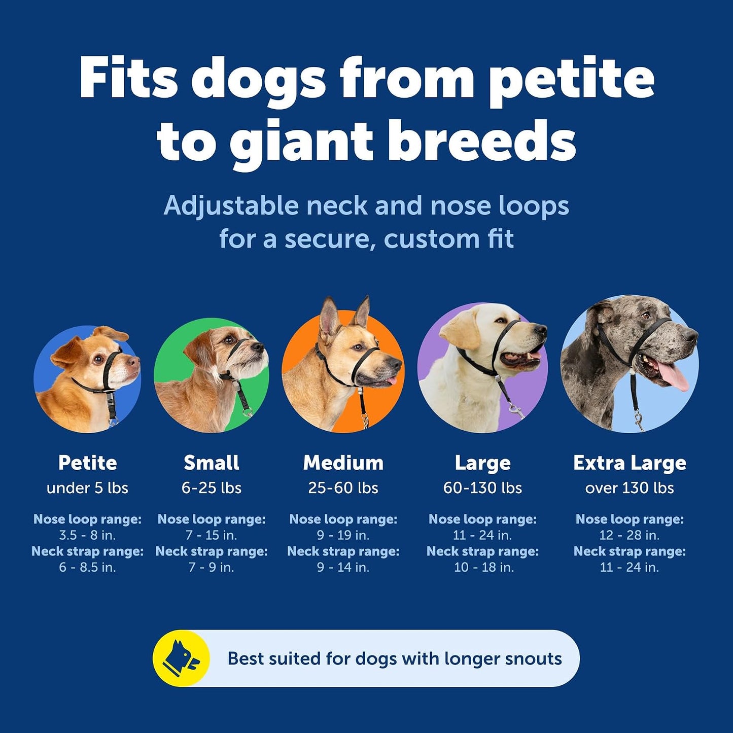 PetSafe Gentle Leader No Pull Dog Headcollar, Black, Medium | Veterinary Behaviorist-Designed No-Pull Headcollar Redirects Pulling Instinct, Padded Neoprene Nose Loop, Quick-Snap Fit