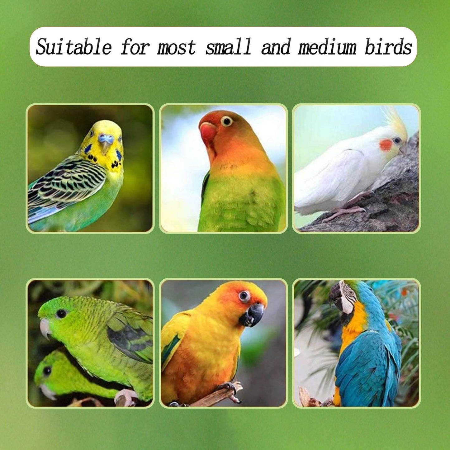 No Mess Bird Feeder for Cage, Automatic Acrylic Bird Feeder Seed Catcher Tray Cage with Stainless Steel Hooks for Small Parrots Canary Parakeet Budgerigar Crested Cockatiel Lovebird (Small)