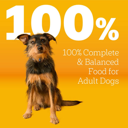 Pedigree Complete Nutrition Dry Dog Food, Steak & Vegetable, 18 lb