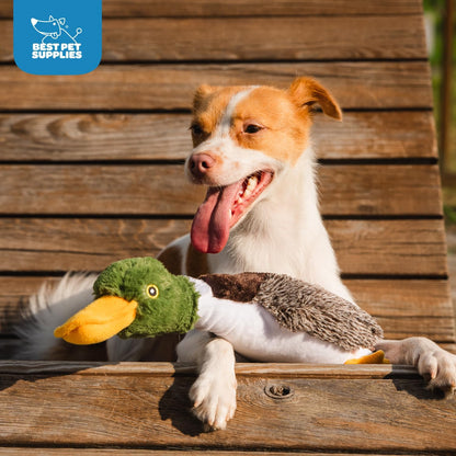 Best Pet Supplies Interactive Squeaky Dog Chew Toy, Ideal Dog Toys for Chewers, Small, Medium & Large Dogs, and Fetch Lovers - Crinkle Duck (Yellow), Large