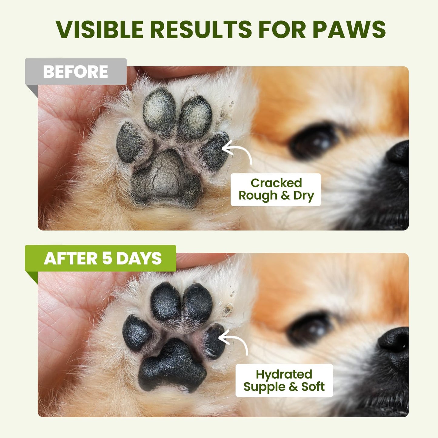 PawSono Lick-Safe Dog Paw & Nose Balm with Coconut Oil | All-Natural Dog Paw Protector Against Hot Pavement & Sand, Great for Dogs who Hate Dog Booties or Shoes (2.1 oz / 60 g)