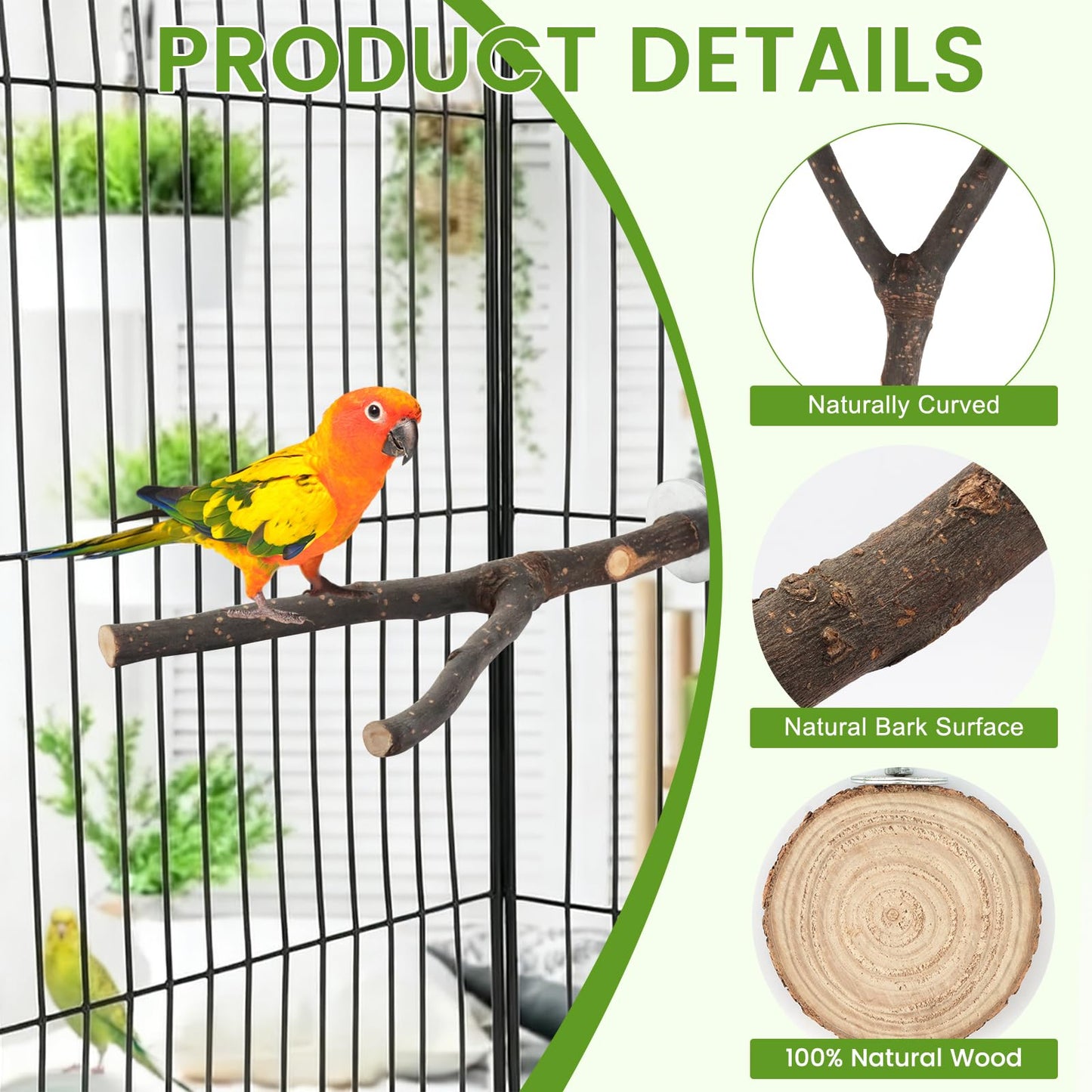 8 PCS Bird Perch Set for Cage - Natural Apple Wood Platforms & Hardwood Branches for Parakeets, Budgies, Cockatiels - Small Bird Habitat Gym, Climbing Stand & Safe Chew Toys
