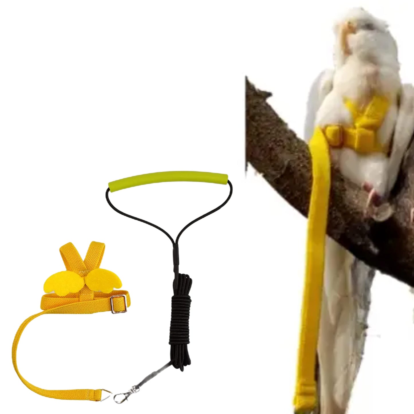 Pet Parrot Bird Harness Leash Adjustable Bird Flying Harness Traction Rope with Cute Wing for Parrots Pigeons Budgerigar Lovebird Cockatiel Mynah Outdoor Training Toy (S, Blue)