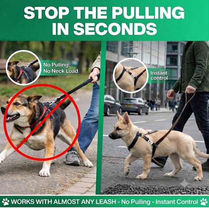 No‑Pull Dog Leash Attachment – Torso‑Loop Control for Large Dogs that Pull – Gentle Leader Alternative – Training Tool for Reactive & Lunging Dogs – Works with Any Collar