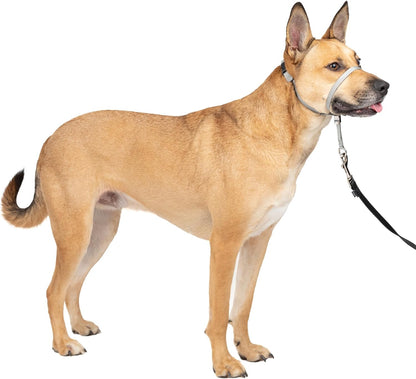 PetSafe Gentle Leader No Pull Dog Headcollar, Black, Medium | Veterinary Behaviorist-Designed No-Pull Headcollar Redirects Pulling Instinct, Padded Neoprene Nose Loop, Quick-Snap Fit