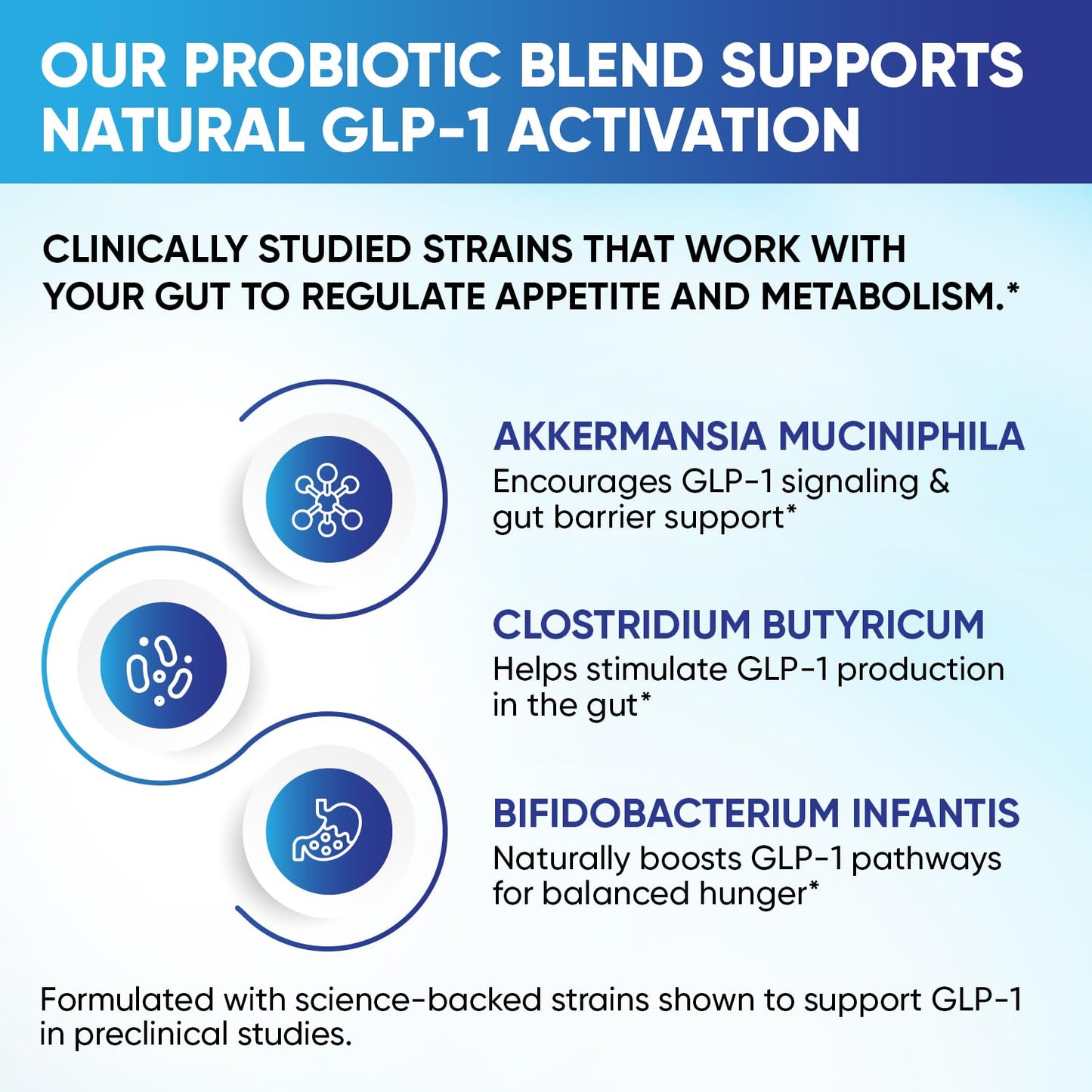 GLP-1 XLR8 Supplement for Weight Loss, Digestion, Constipation, Bloating Relief with Akkermansia 2.6 Billion AFU Live Prebiotic Probiotic Postbiotic + Berberine for Women Men 60 Capsules