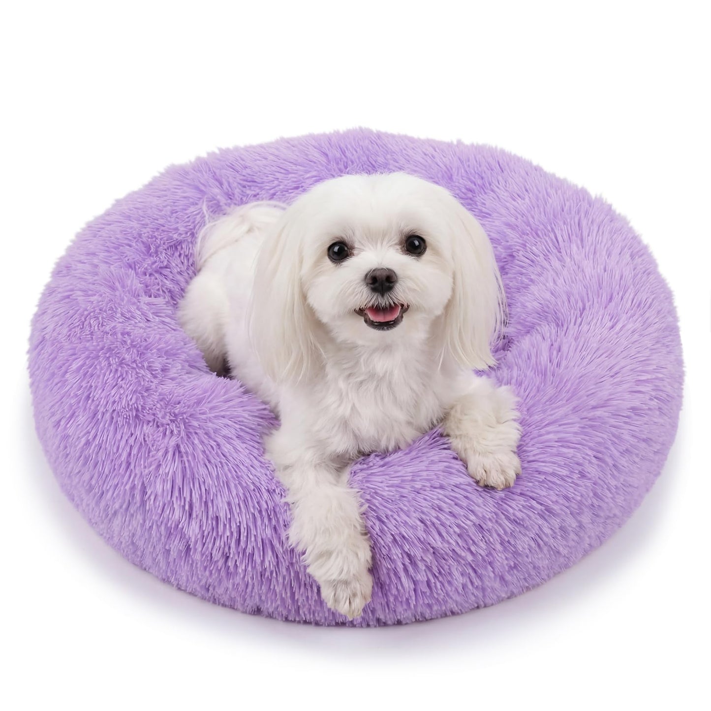 Small Calming Dogs Bed for Small Dogs Anti-Anxiety Machine Washable Fluffy Luxury Anti-Slip Waterproof Mute Base Warming Cozy Soft Pet Puppy Round Bed