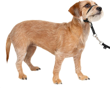 PetSafe Gentle Leader No Pull Dog Headcollar, Black, Medium | Veterinary Behaviorist-Designed No-Pull Headcollar Redirects Pulling Instinct, Padded Neoprene Nose Loop, Quick-Snap Fit