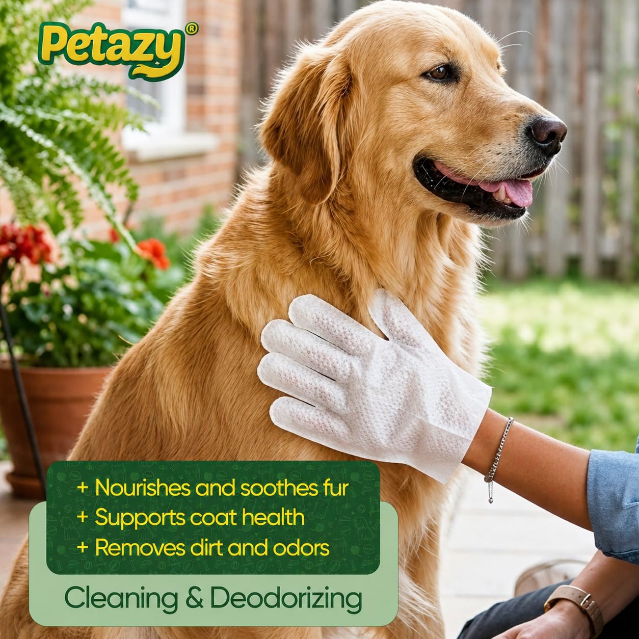 Petazy Pet Glove Wipes for Dogs & Cats – Hypoallergenic Thick Cleaning Gloves with Aloe & Coconut Oil for Paws, Face, Ears & Butt, Instant No Rinse Grooming Wipes to Deodorize and Hydrate, 25 Pack
