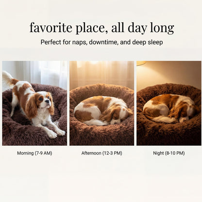Small Calming Dogs Bed for Small Dogs Anti-Anxiety Machine Washable Fluffy Luxury Anti-Slip Waterproof Mute Base Warming Cozy Soft Pet Puppy Round Bed