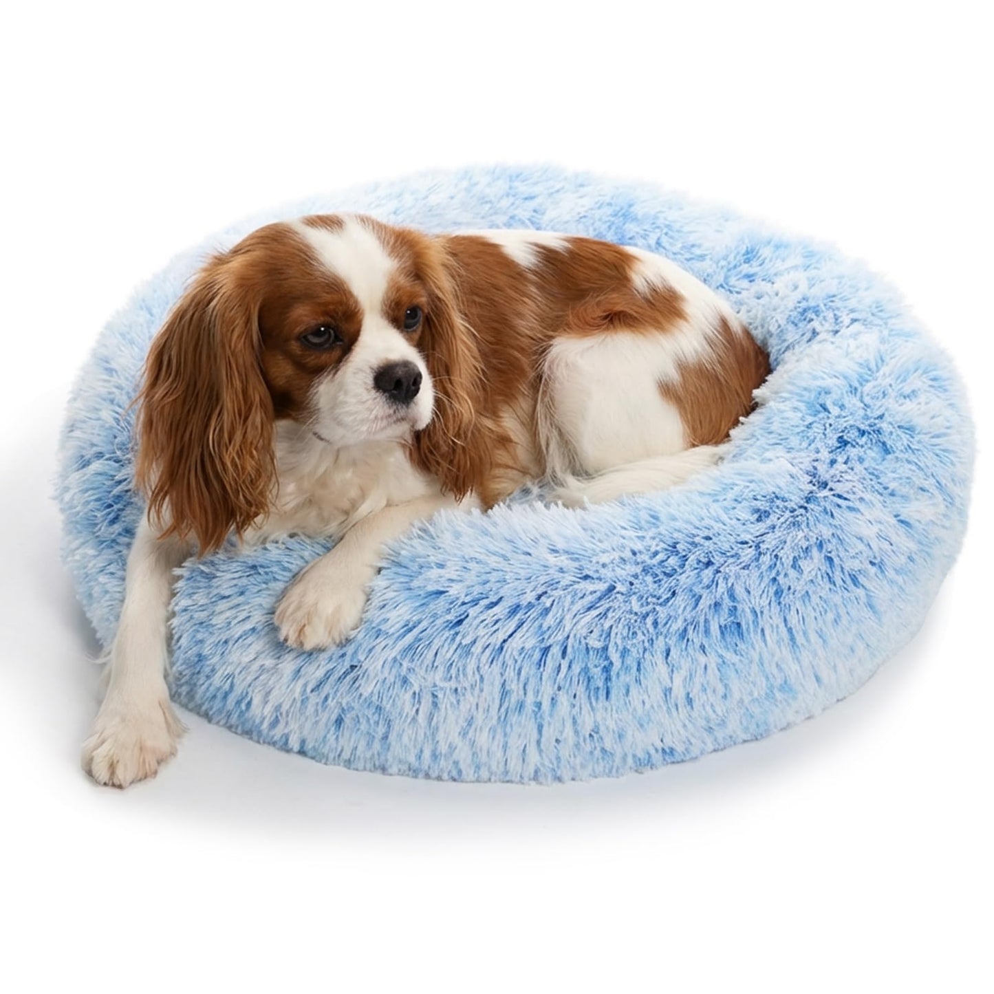 Small Calming Dogs Bed for Small Dogs Anti-Anxiety Machine Washable Fluffy Luxury Anti-Slip Waterproof Mute Base Warming Cozy Soft Pet Puppy Round Bed