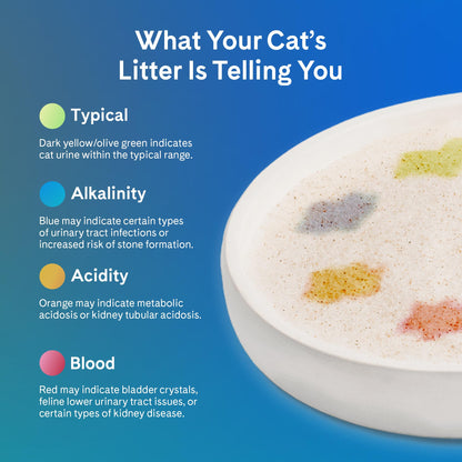 PrettyLitter Health Monitoring Cat Litter (Unscented, Non Clumping) | Lightweight & Low Tracking, Color Changing Silica Gel Crystals, Advanced Odor Control — 6 Lbs, Pack of 2 (Up to 2 Month Supply)