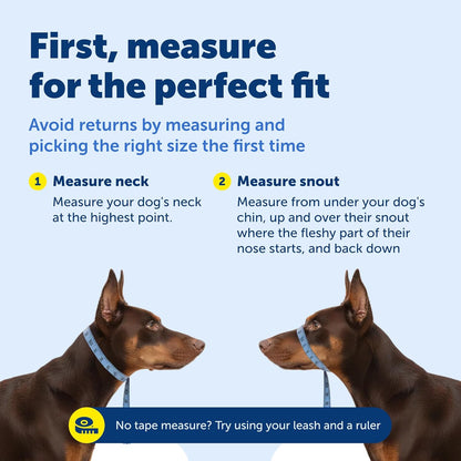 PetSafe Gentle Leader No Pull Dog Headcollar, Black, Medium | Veterinary Behaviorist-Designed No-Pull Headcollar Redirects Pulling Instinct, Padded Neoprene Nose Loop, Quick-Snap Fit