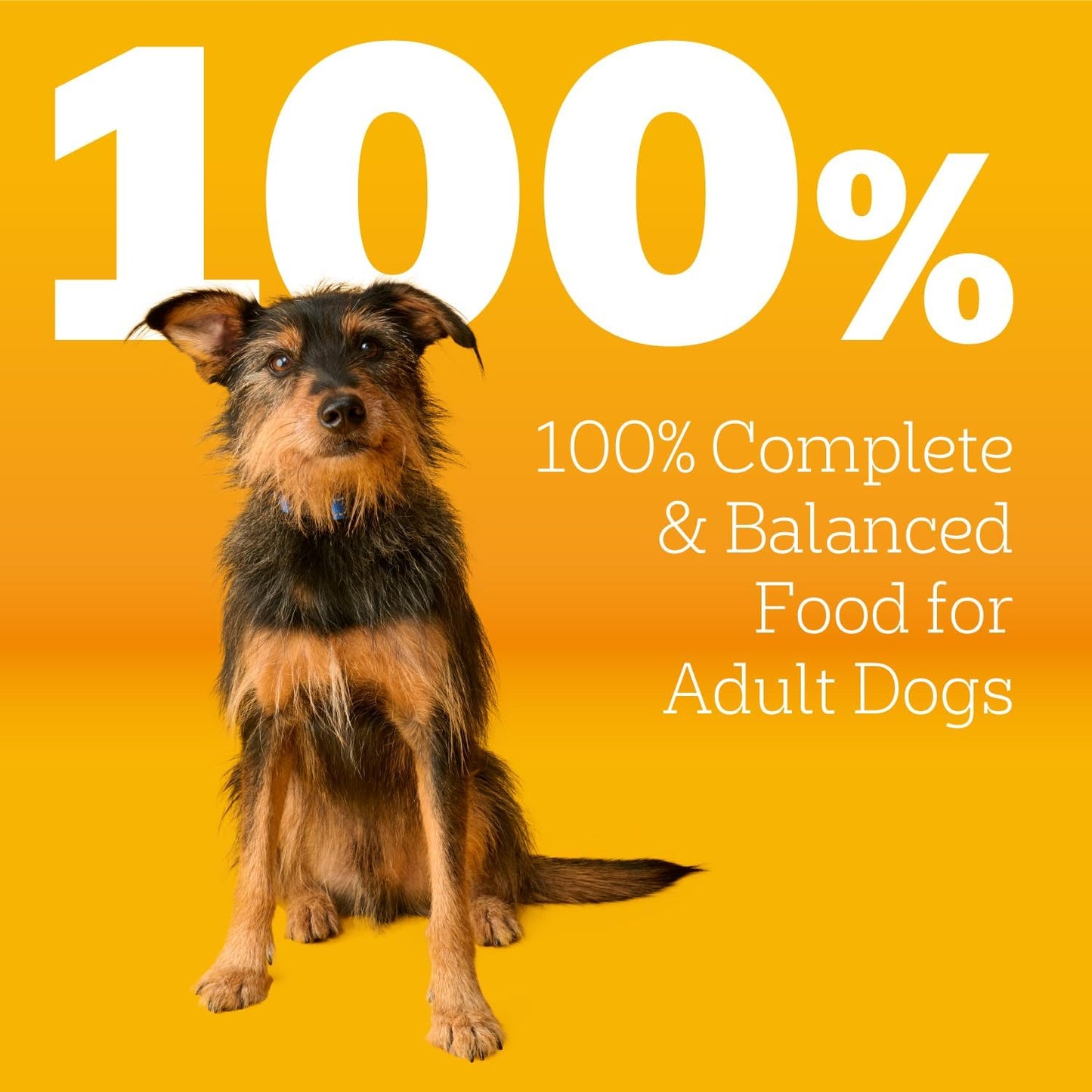 Pedigree Complete Nutrition Dry Dog Food, Steak & Vegetable, 18 lb