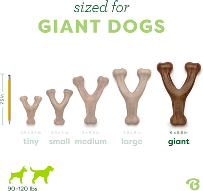 Benebone Wishbone Durable Dog Chew Toy for Aggressive Chewers, Real Bacon, Made in USA, Medium