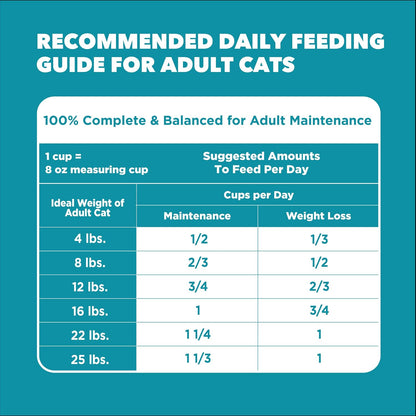 IAMS Proactive Health Indoor Dry Cat Food, Chicken & Turkey, 7 lb | Vet-recommended, Real Chicken #1 Ingredient, Proprietary Fiber Blend, Prebiotics for Healthy Digestion, Hairball Control