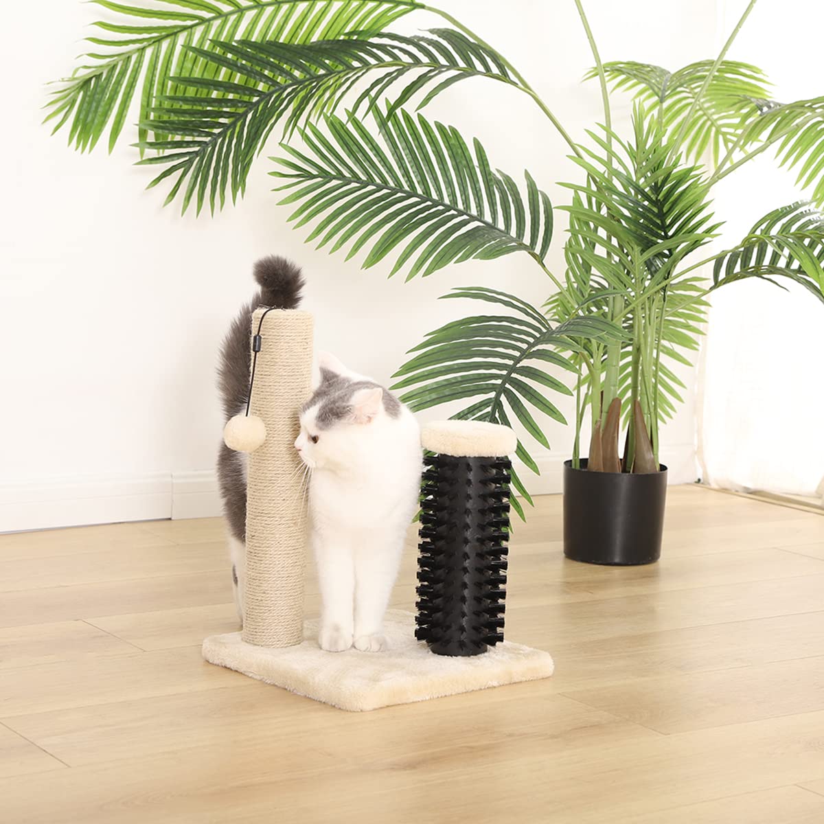 Amazon Basics Cat Scratching Post for Indoor Cats & Kittens, Medium (31.5"H), Cat Furniture with Dangling Ball Toy, Grey