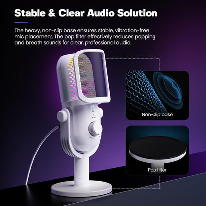 USB Microphone for PC Gaming: Condenser Microphone RGB for Gamer with Stand Mic - Recording Mic for Computer&Laptop with Qiuck Mute - Desk Podcast Mic for Podcast & Singing & Streaming & Youtube Black