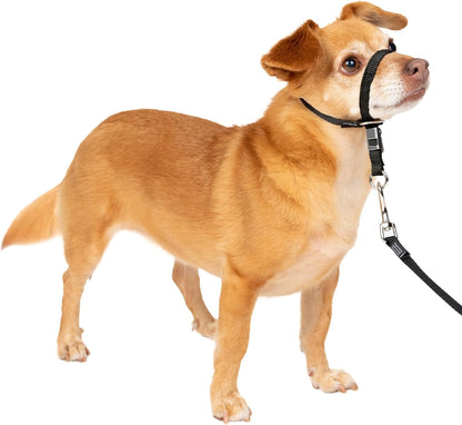 PetSafe Gentle Leader No Pull Dog Headcollar, Black, Medium | Veterinary Behaviorist-Designed No-Pull Headcollar Redirects Pulling Instinct, Padded Neoprene Nose Loop, Quick-Snap Fit