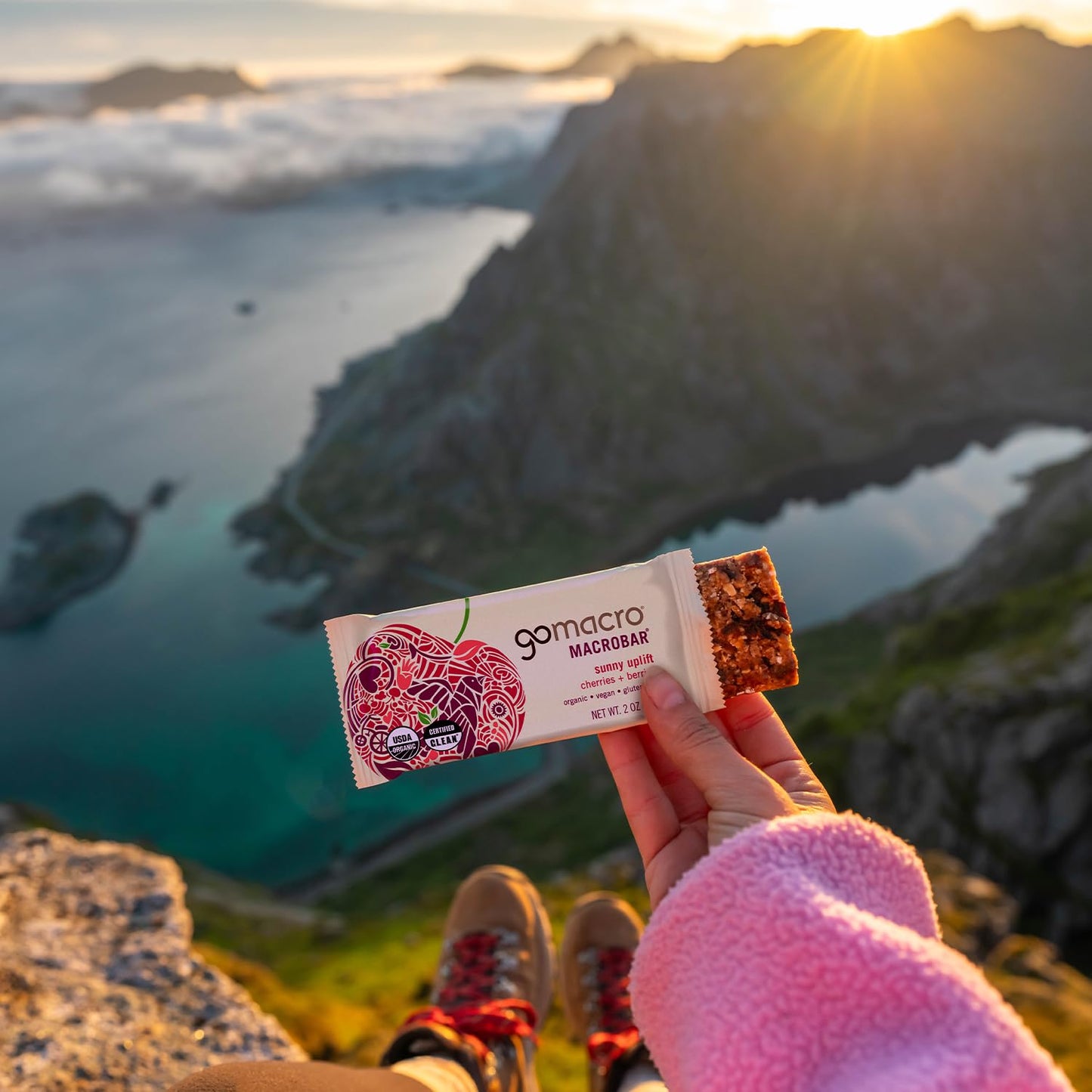 GoMacro MacroBar Organic Vegan Protein Bars - Coconut + Almond Butter + Chocolate Chips (2.3 Ounce Bars, 12 Count)