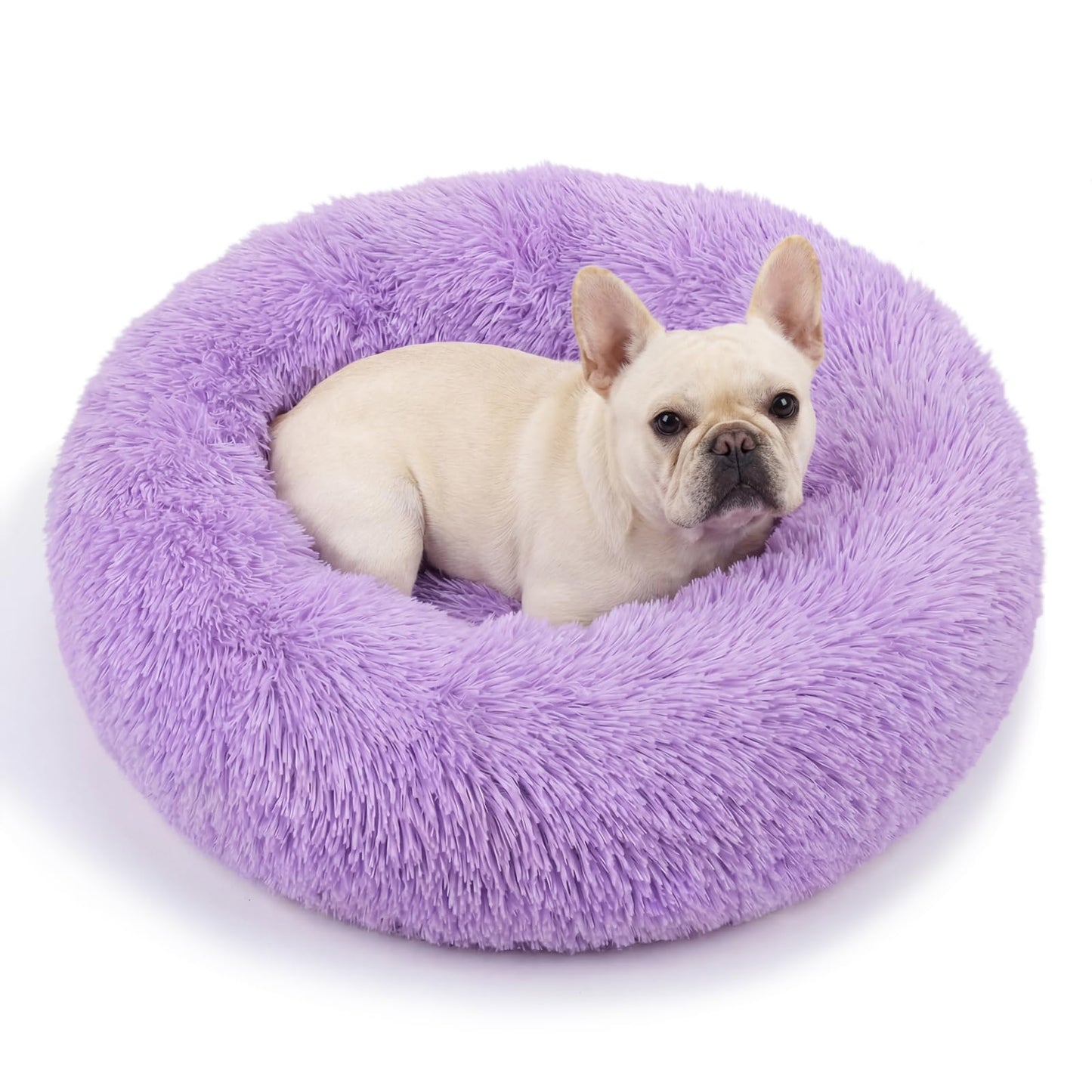 Small Calming Dogs Bed for Small Dogs Anti-Anxiety Machine Washable Fluffy Luxury Anti-Slip Waterproof Mute Base Warming Cozy Soft Pet Puppy Round Bed