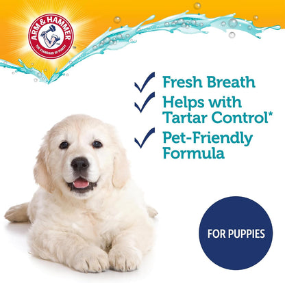 Arm & Hammer Complete Care Dog Dental Kit with Enzymatic Dog Toothpaste, Toothbrush and Finger Brush, Baking Soda and Calcium Formula for Plaque Tartar Control, Chicken Flavor, 2.5 Oz
