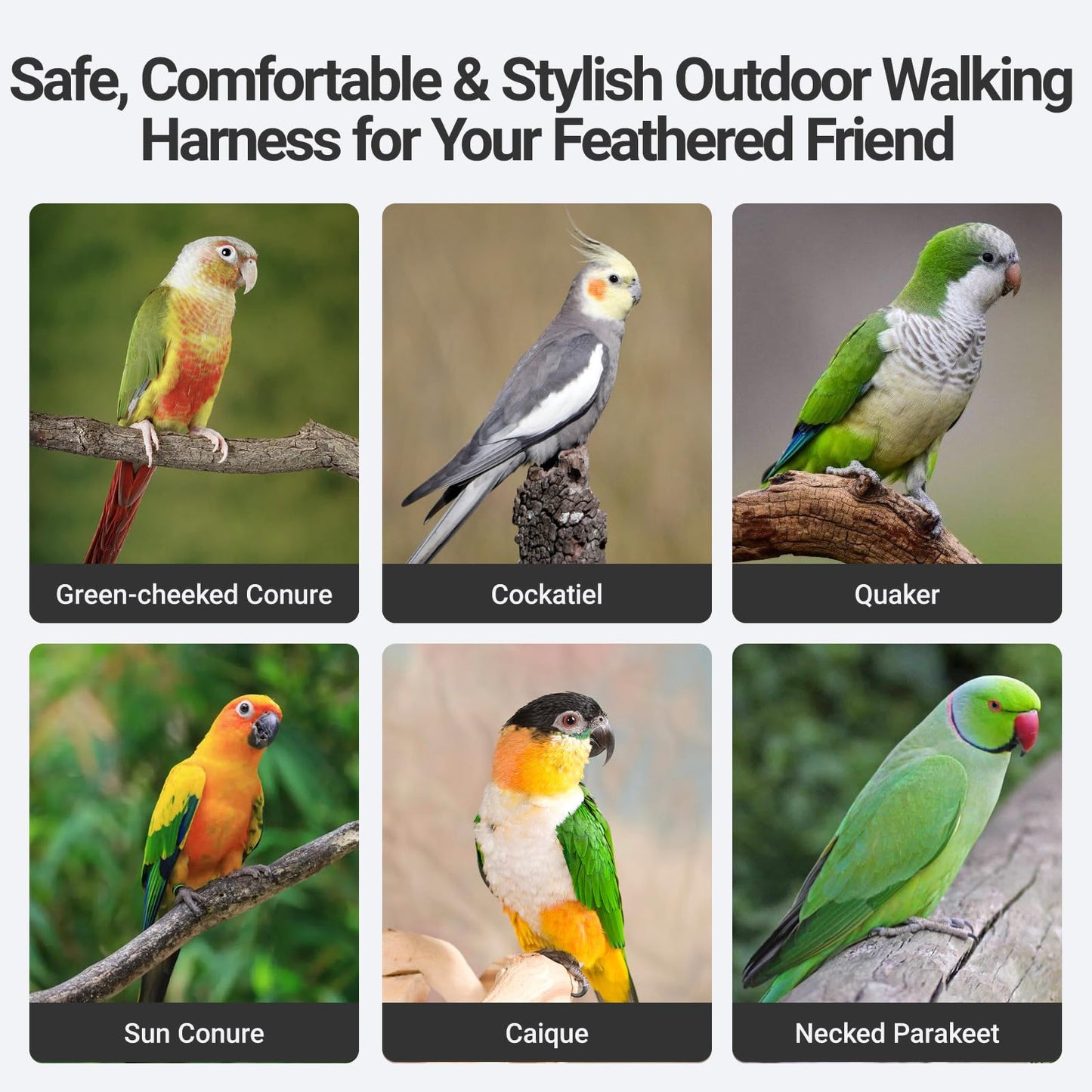 Bird Flight Harness Vest, Adjustable Training Design Anti-Bite, Suit with Leash for Parakeets Cockatiels Conures Budgies, Bird Flying Clothes with Rope and Handle (Cowboy L)