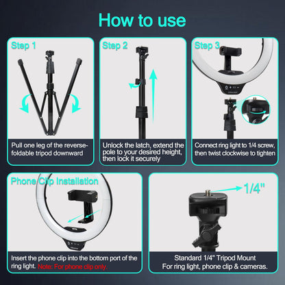 UBeesize 12'' LED Ring Light with 62'' Tripod Stand, Selfie Ring Light for Video Recording, Live Streaming, TikTok & YouTube, Compatible with iPhone & Android (Black)