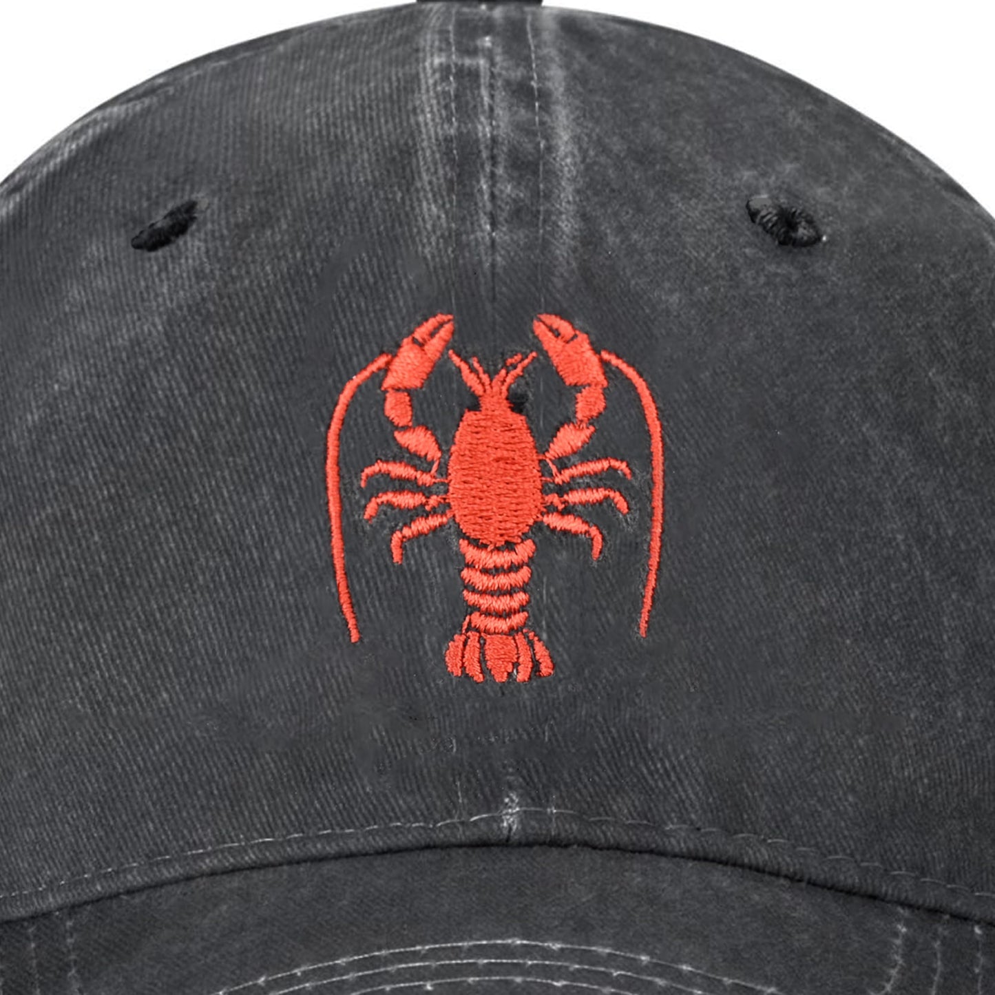 Embroidered Baseball Cap Adjustable Vintage Washed Distressed Denim Baseball Hat for Women Men