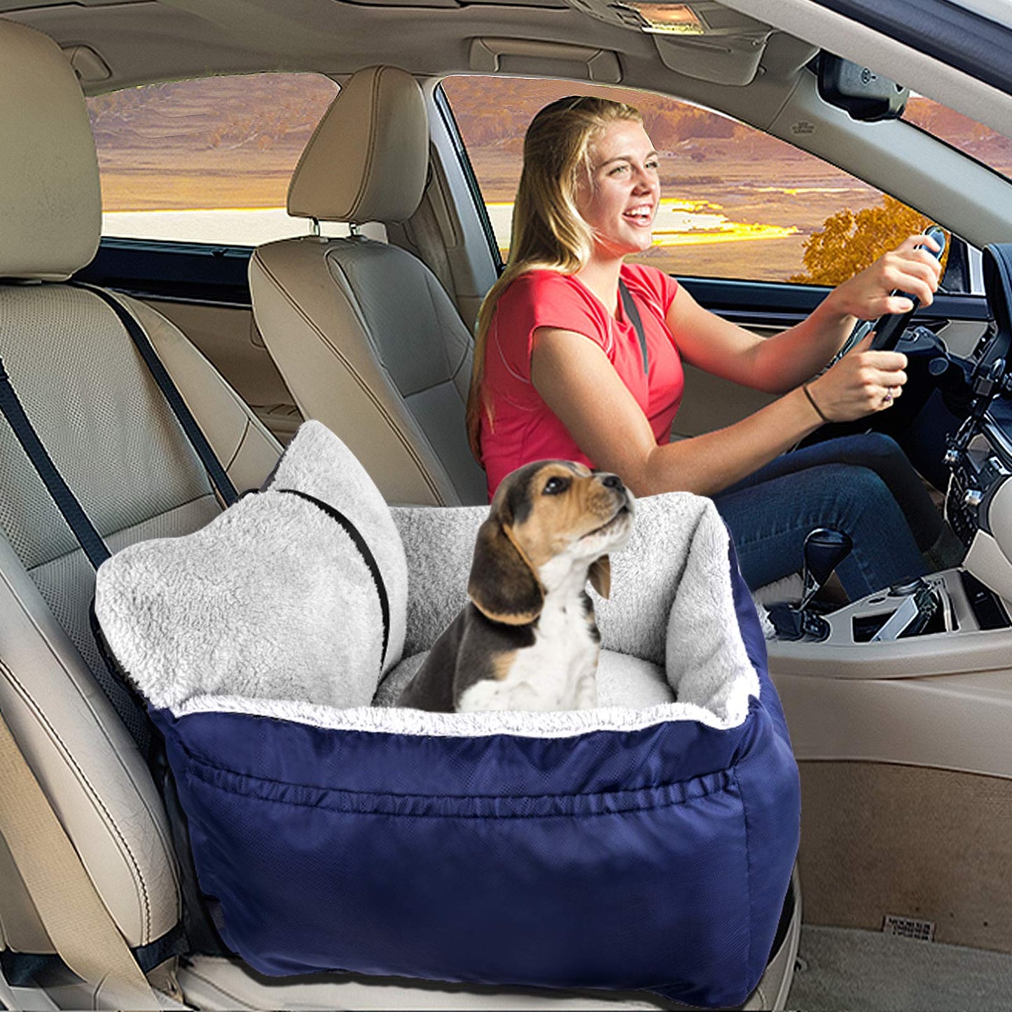 BurgeonNest Dog Car Seat for Small Dogs, Soft Pet Car Travel Home Bed Under 25 lbs, Fully Detachable and Washable Cat Booster Carseats with Storage Pockets and Clip-On Leash Portable Carrier,Black