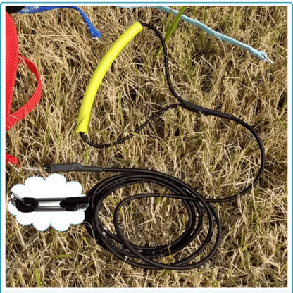 Pet Parrot Bird Harness Leash Adjustable Bird Flying Harness Traction Rope with Cute Wing for Parrots Pigeons Budgerigar Lovebird Cockatiel Mynah Outdoor Training Toy (S, Blue)