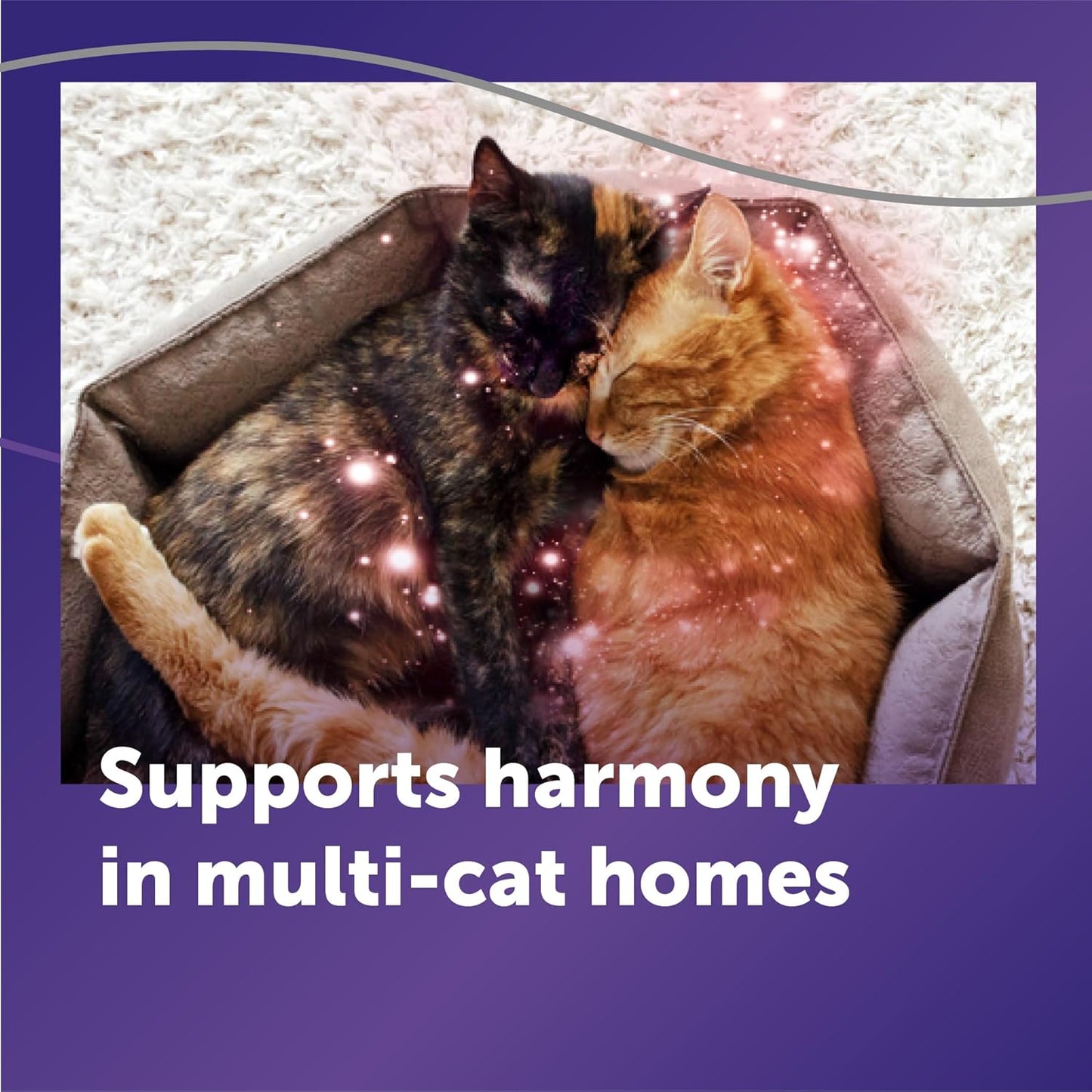 FELIWAY Optimum Cat Calming Pheromone Diffuser Kit | Advanced Support to Help Reduce Urine Spraying, Scratching, Fighting & Hiding Due to Stress. 30-Day Diffuser Supply