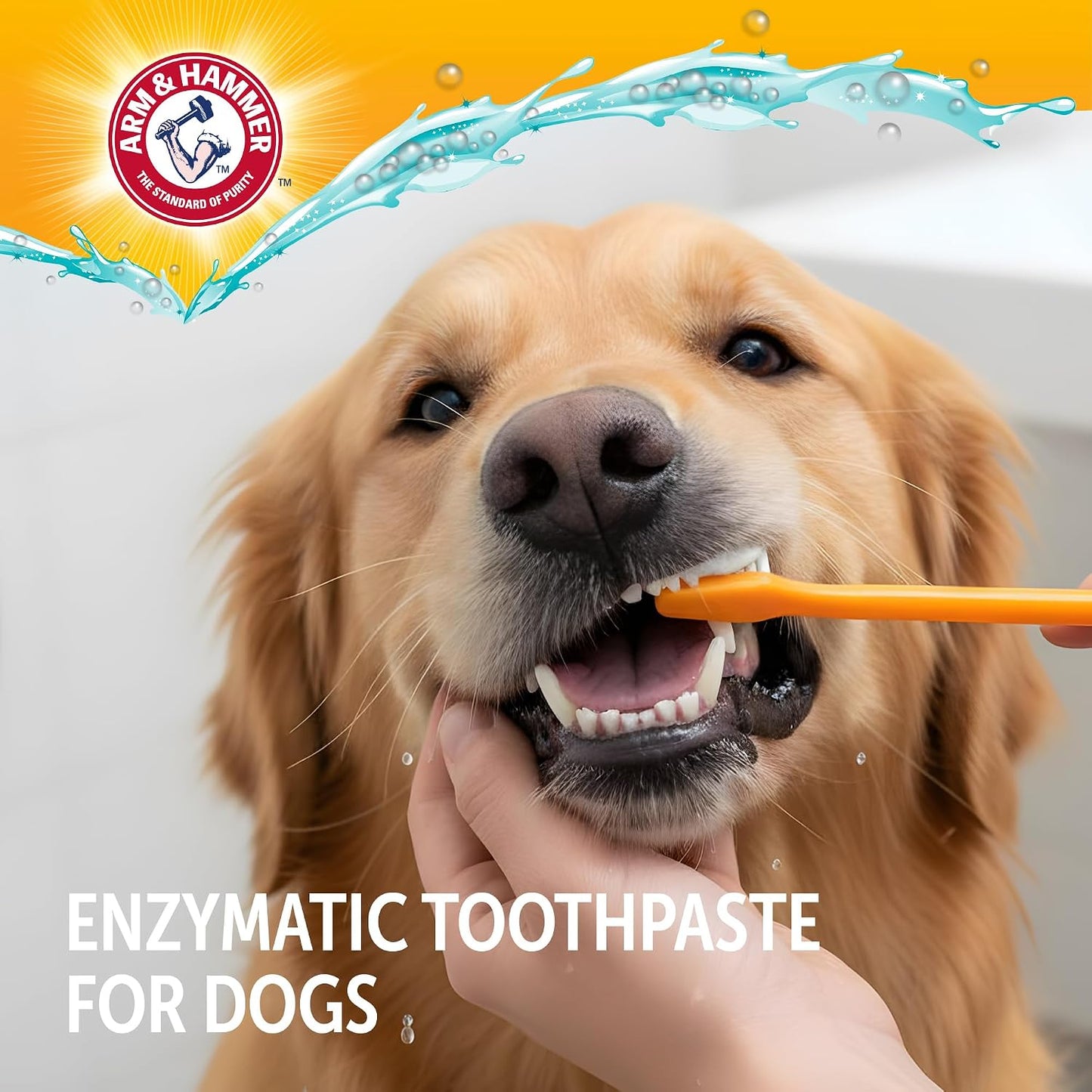 Arm & Hammer Complete Care Dog Dental Kit with Enzymatic Dog Toothpaste, Toothbrush and Finger Brush, Baking Soda and Calcium Formula for Plaque Tartar Control, Chicken Flavor, 2.5 Oz