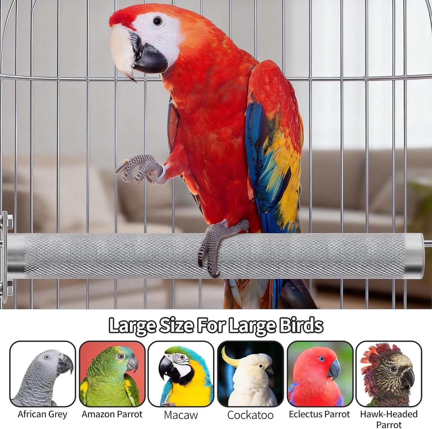 AOTU Large Bird Perch Stainless Steel Parrot Perches Bird Stand for Cage Durable Beak & Claw Trimming Grinding Perch for Birds Parrot Cage Accessory (L: 11.8" x 1.2")