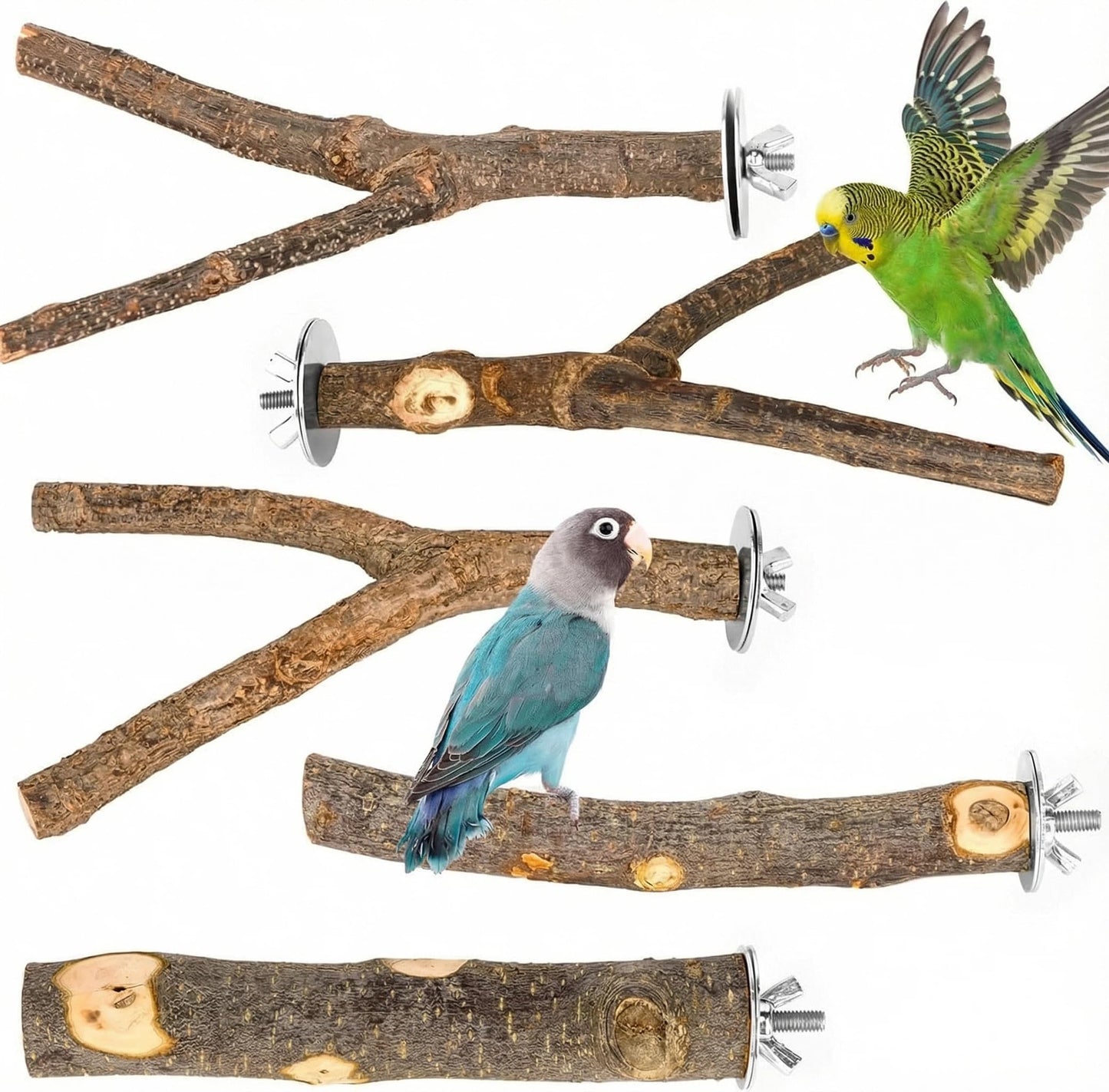 8 PCS Bird Perch Set for Cage - Natural Apple Wood Platforms & Hardwood Branches for Parakeets, Budgies, Cockatiels - Small Bird Habitat Gym, Climbing Stand & Safe Chew Toys